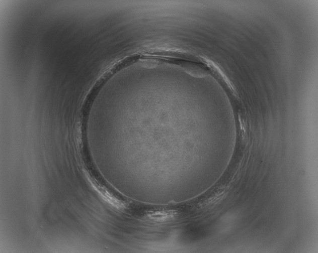 X0000084030447200702161439