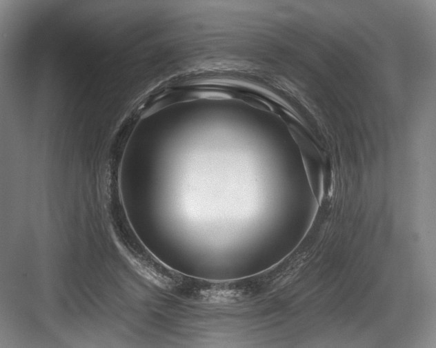 X0000084030448200702161439