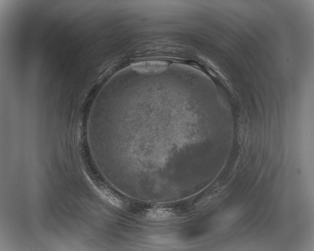 X0000084030451200702161439