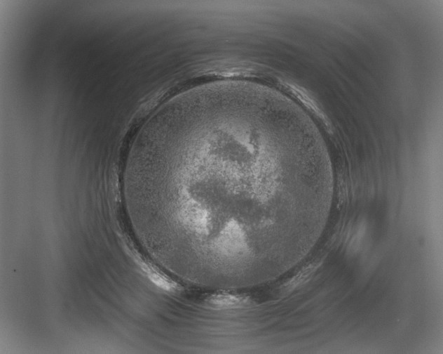 X0000084030453200702161439