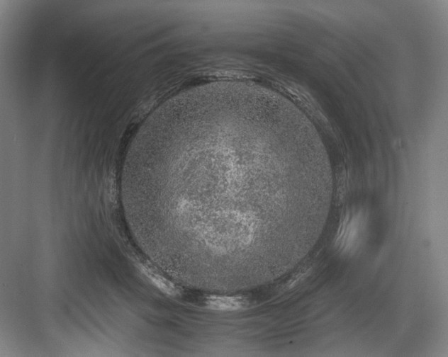 X0000084030457200702161439