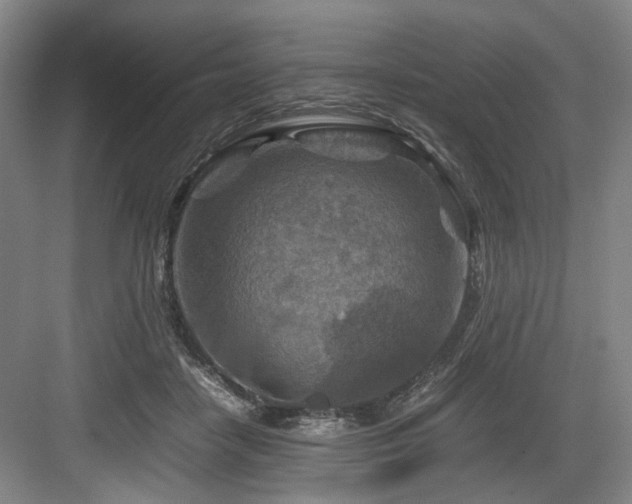 X0000084030458200702161439