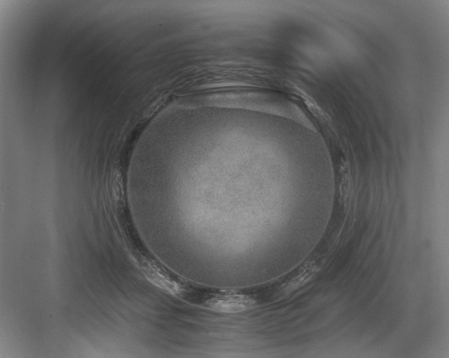 X0000084030459200702161439