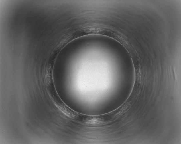 X0000084030460200702161439