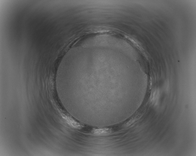 X0000084030461200702161439