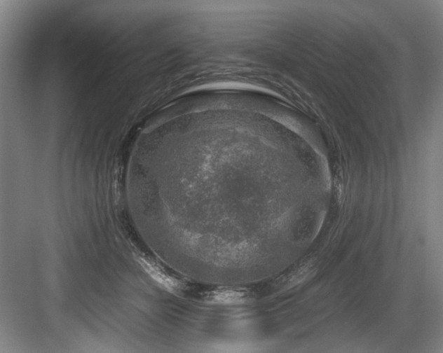 X0000084030462200702161439