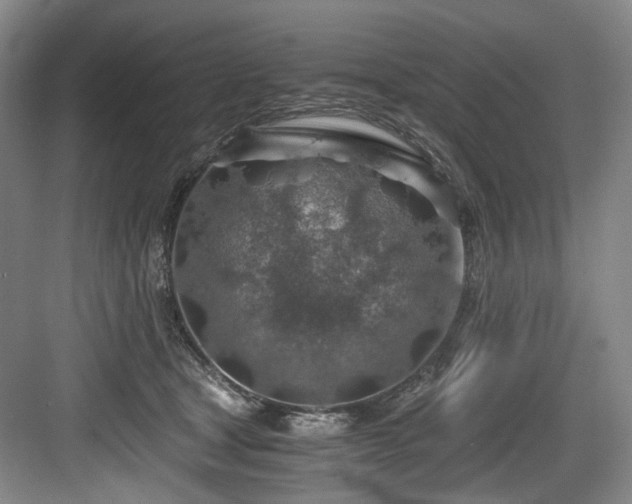 X0000084030465200702161439