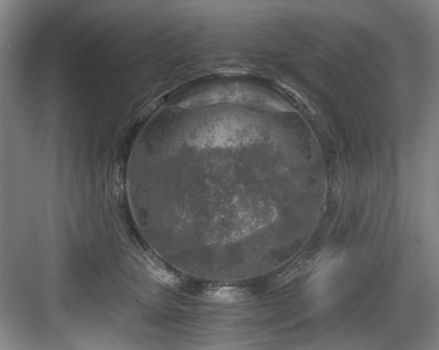 X0000084030467200702161439