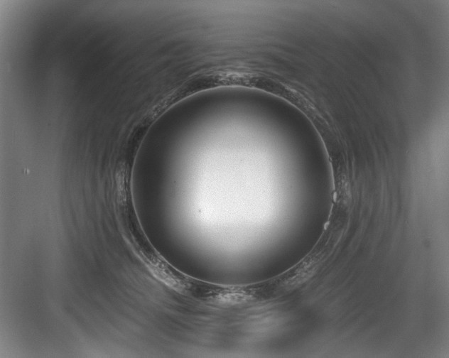 X0000084030468200702161439