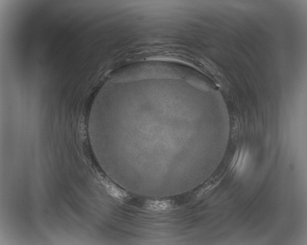 X0000084030469200702161439