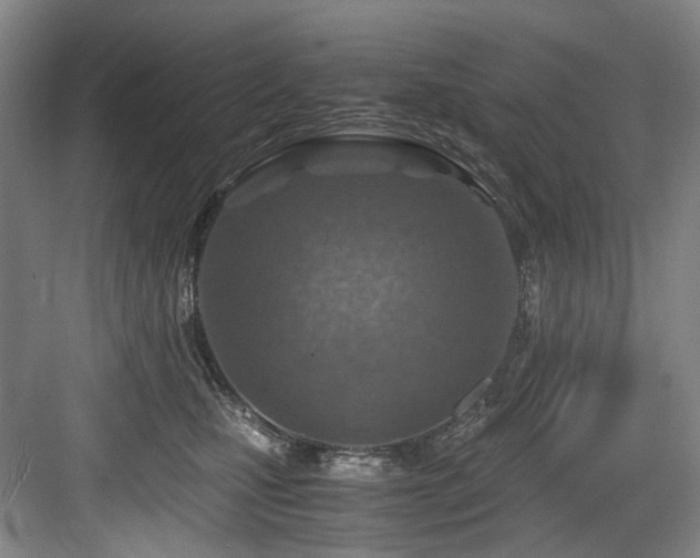 X0000084030471200702161439