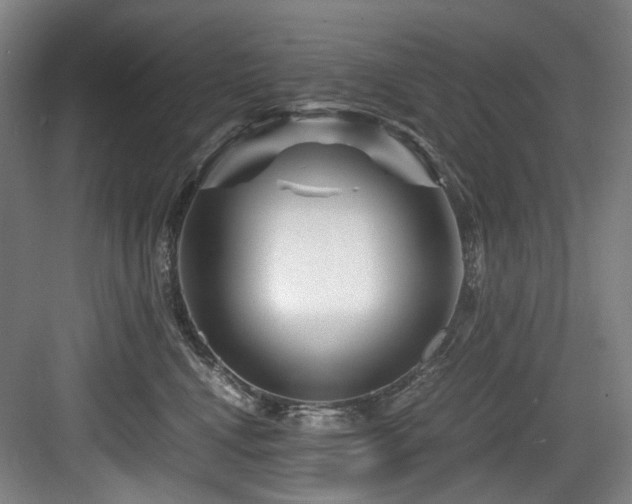 X0000084030472200702161439