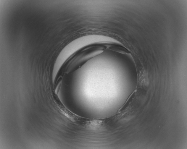 X0000084030474200702161439