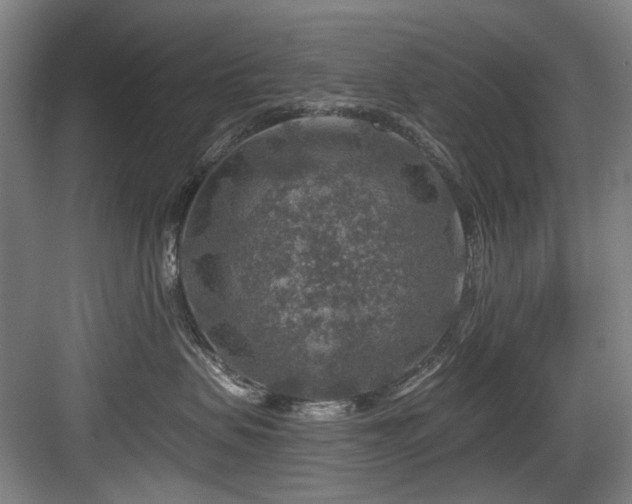 X0000084030479200702161439