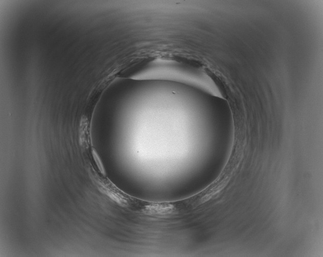 X0000084030480200702161439