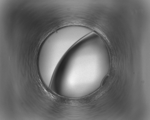 X0000084030481200702161438