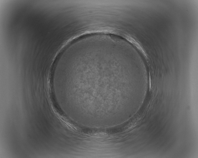 X0000084030483200702161438