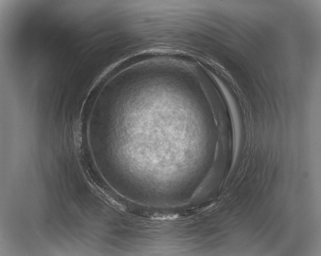 X0000084030484200702161438