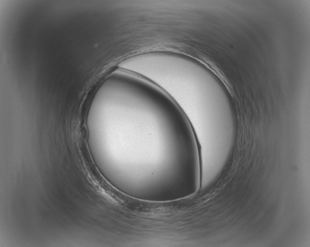 X0000084030485200702161438