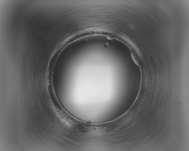 X0000084030486200702161438