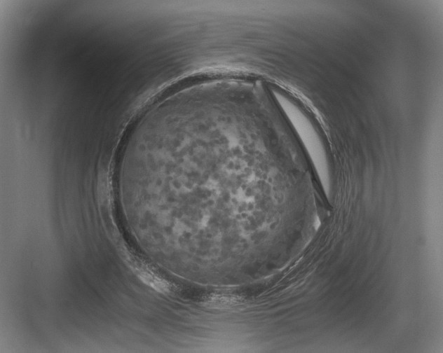 X0000084030487200702161438