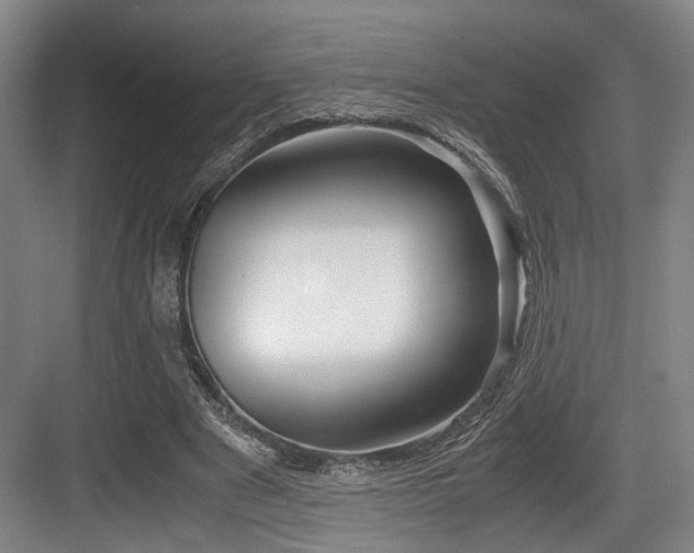 X0000084030489200702161438