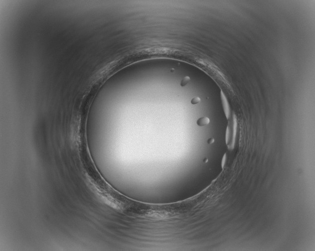 X0000084030490200702161438