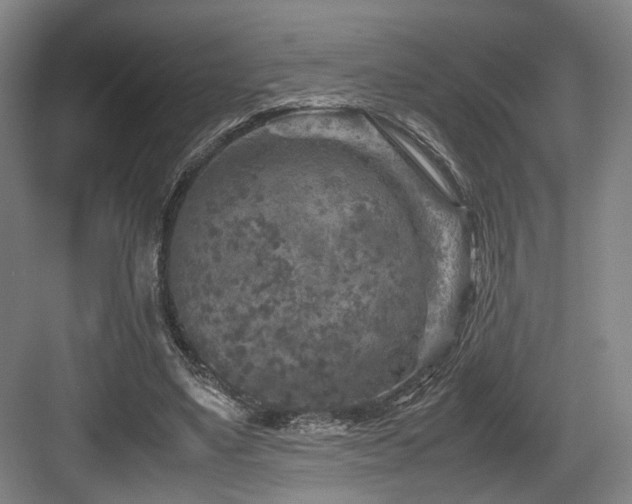 X0000084030491200702161438