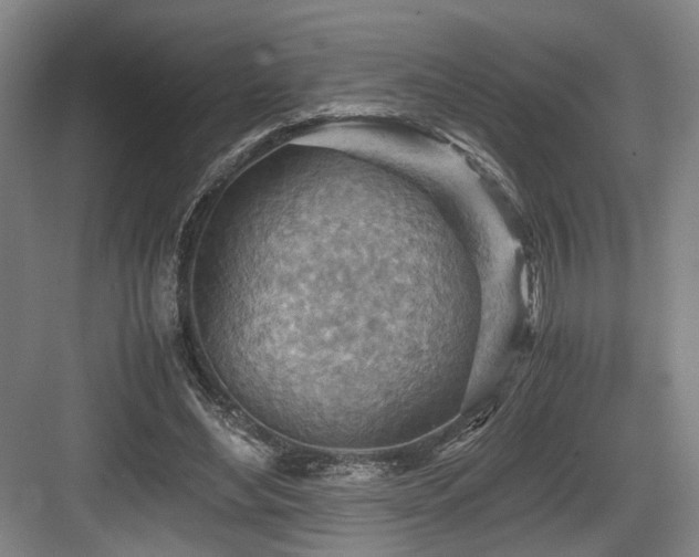 X0000084030492200702161438