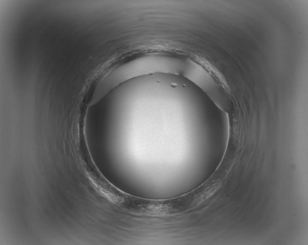 X0000084030493200702161438