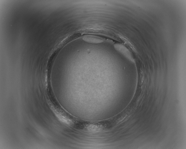 X0000084030494200702161438