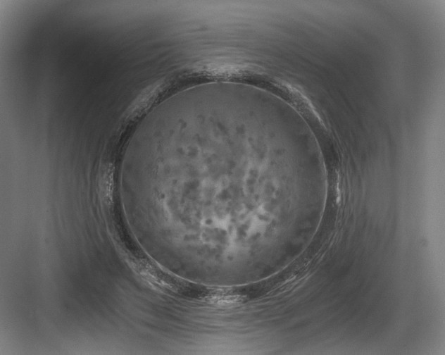 X0000084030495200702161438