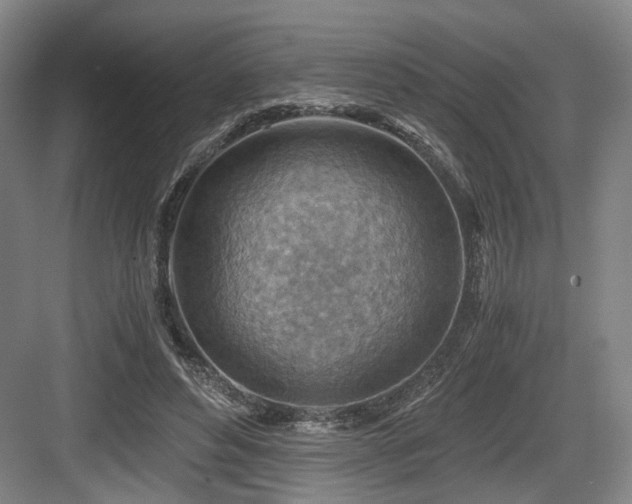 X0000084030496200702161438