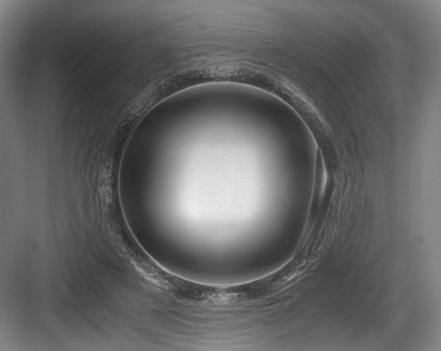 X0000084030497200702161438