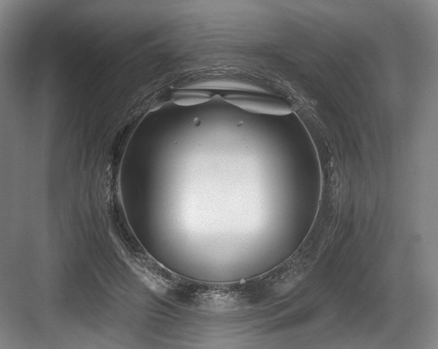 X0000084030498200702161438