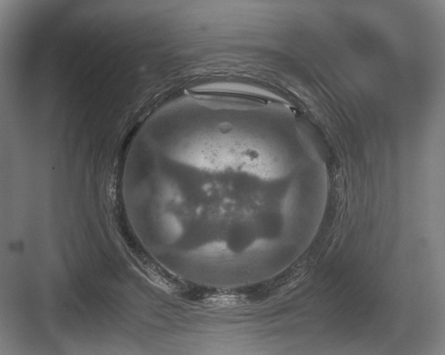 X0000084030499200702161438