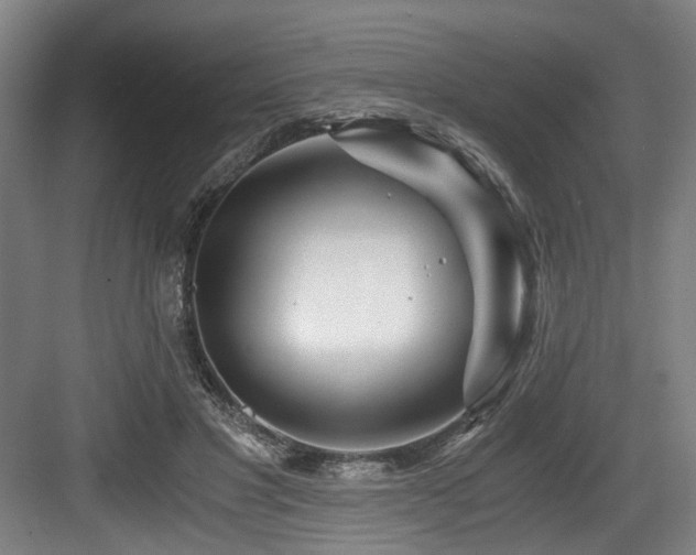 X0000084030501200702161438