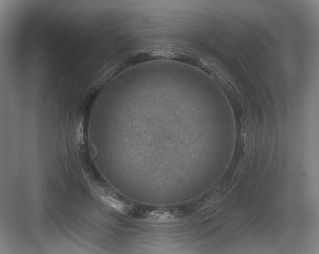 X0000084030502200702161438