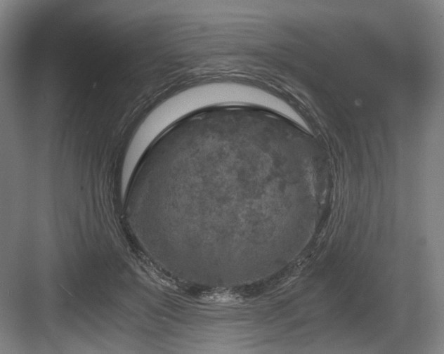 X0000084030503200702161438