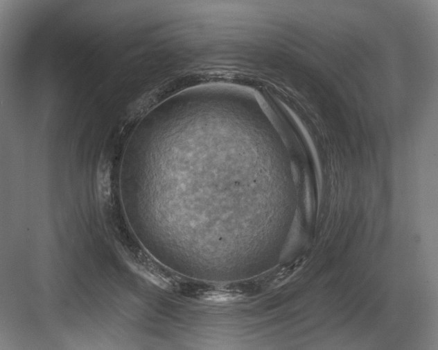 X0000084030504200702161438