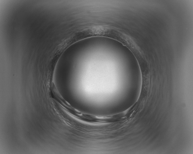 X0000084030505200702161438