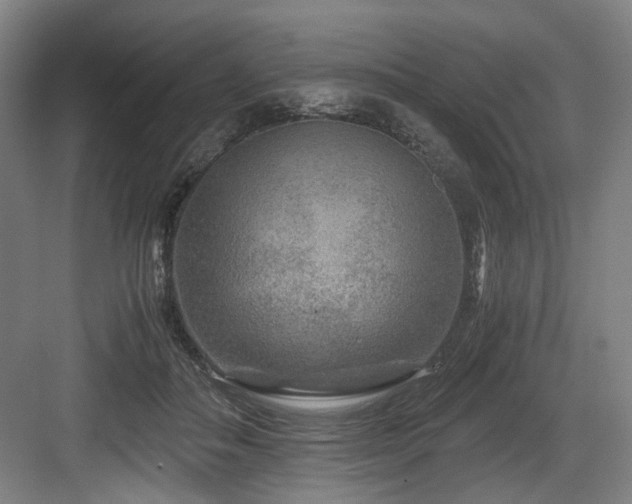 X0000084030506200702161438