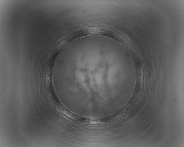 X0000084030507200702161438