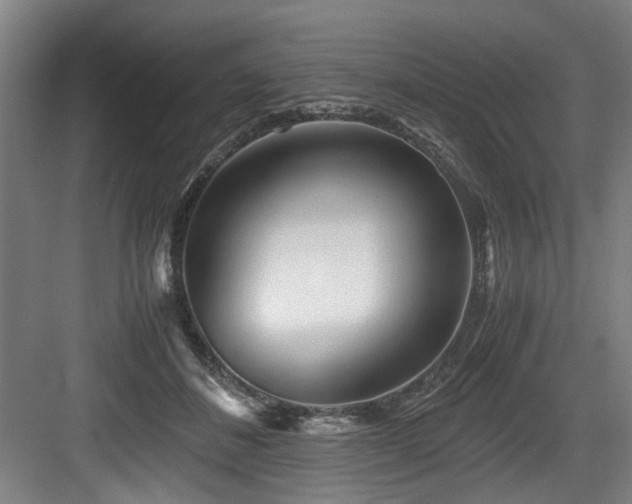 X0000084030508200702161438