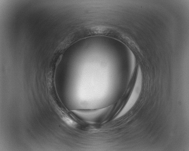 X0000084030509200702161438