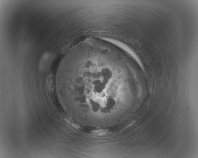 X0000084030511200702161438