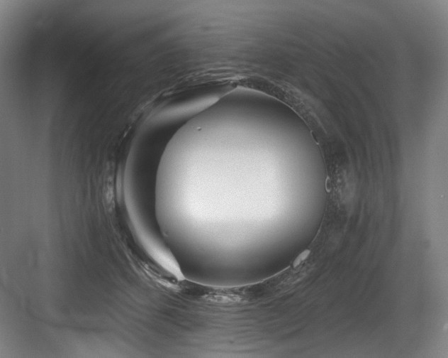 X0000084030512200702161438