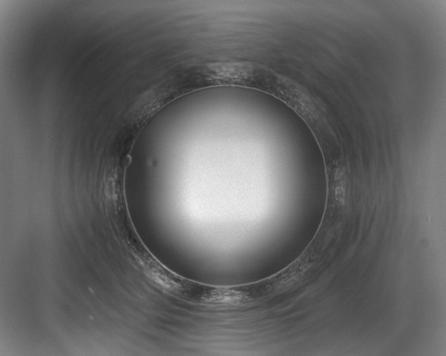 X0000084030514200702161438