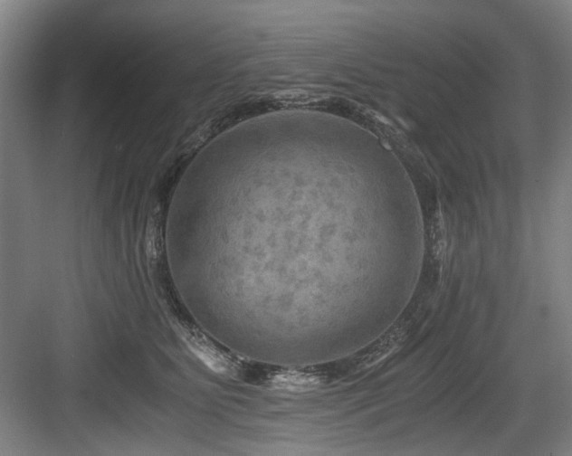 X0000084030515200702161438