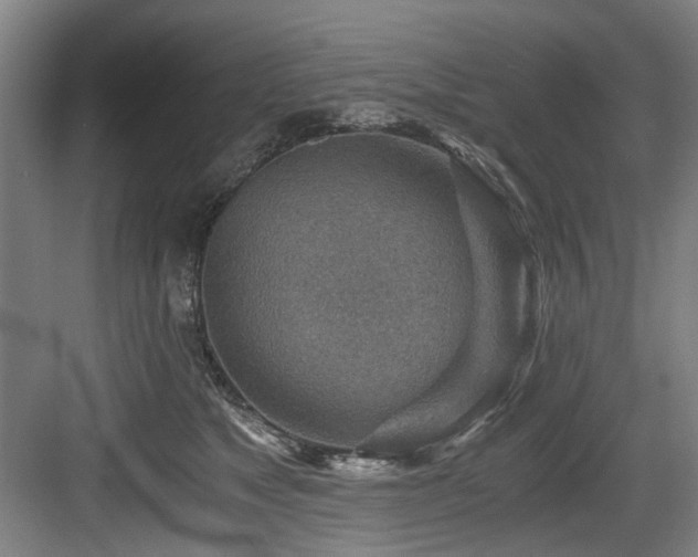 X0000084030517200702161438